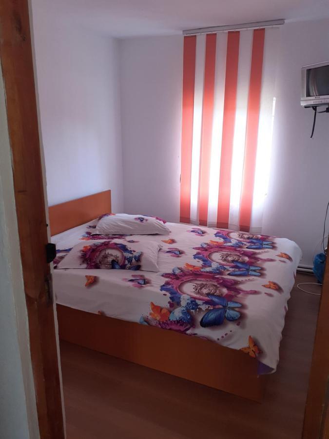 Casa Denisa Vidraru Transfgarasan Hotel Căpăţîneni-Ungureni Exterior foto