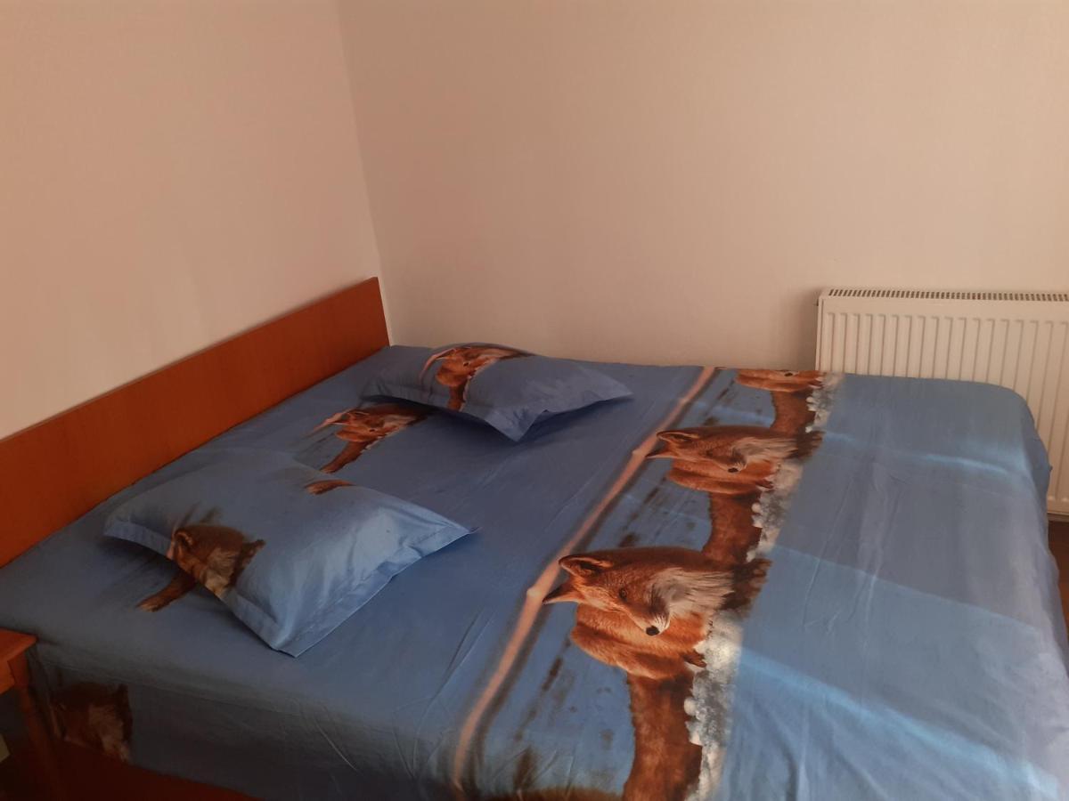 Casa Denisa Vidraru Transfgarasan Hotel Căpăţîneni-Ungureni Exterior foto