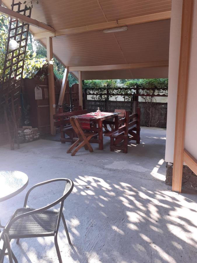 Casa Denisa Vidraru Transfgarasan Hotel Căpăţîneni-Ungureni Exterior foto