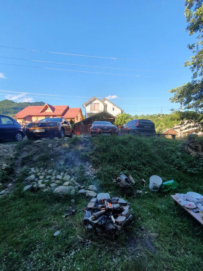 Casa Denisa Vidraru Transfgarasan Hotel Căpăţîneni-Ungureni Exterior foto