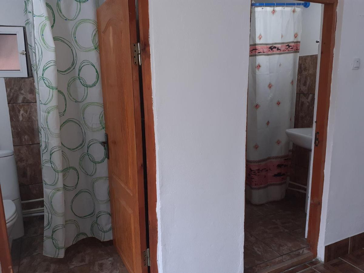 Casa Denisa Vidraru Transfgarasan Hotel Căpăţîneni-Ungureni Exterior foto
