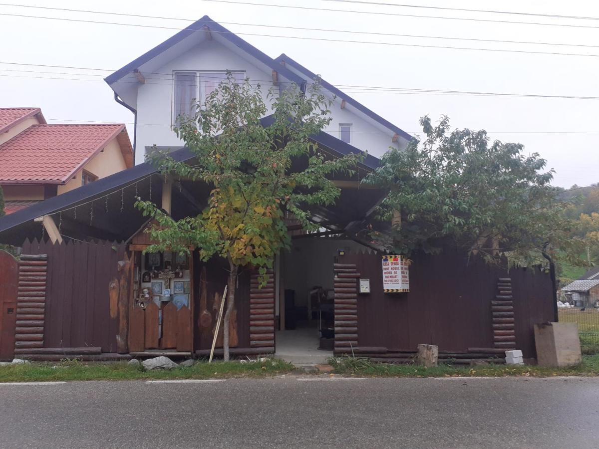 Casa Denisa Vidraru Transfgarasan Hotel Căpăţîneni-Ungureni Exterior foto