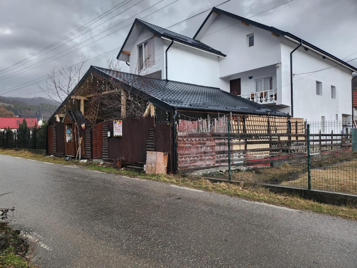 Casa Denisa Vidraru Transfgarasan Hotel Căpăţîneni-Ungureni Exterior foto