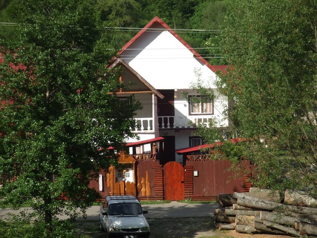 Casa Denisa Vidraru Transfgarasan Hotel Căpăţîneni-Ungureni Exterior foto