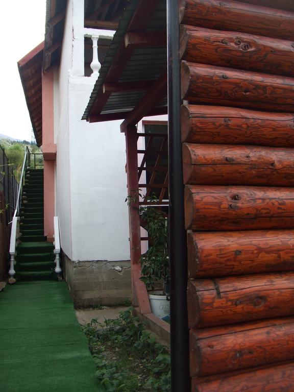 Casa Denisa Vidraru Transfgarasan Hotel Căpăţîneni-Ungureni Exterior foto